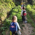 a caminhada de volta