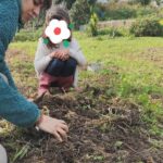 Plantação de árvores 202