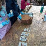 exploradoras de cogumelos Férias no Bosque 2023