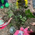 IMG-20251029-WA0053